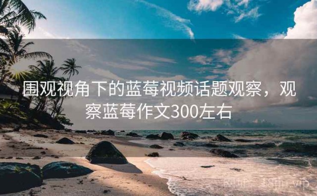 围观视角下的蓝莓视频话题观察，观察蓝莓作文300左右
