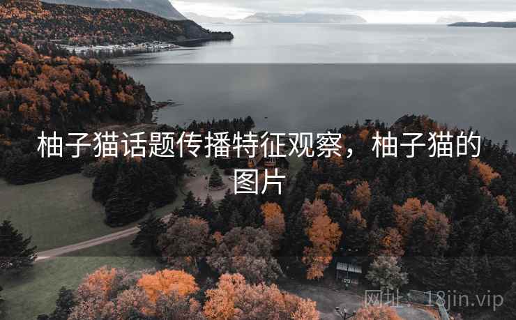 柚子猫话题传播特征观察,柚子猫的图片 柚子猫话题传播特征观察,柚子猫的图片