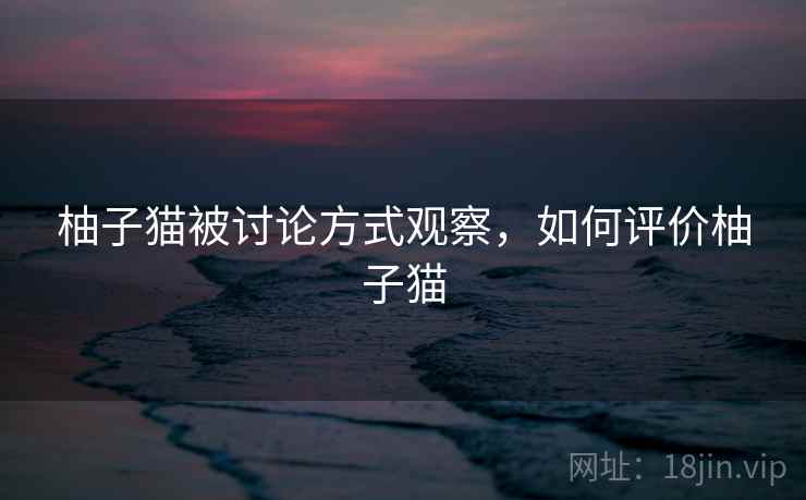 柚子猫被讨论方式观察，如何评价柚子猫